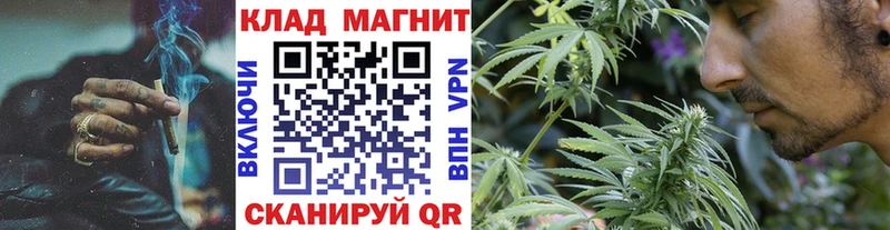 Где купить Княгинино Конопля  Cocaine  ГАШИШ  Alpha PVP  блэк спрут ТОР  Меф мяу мяу 