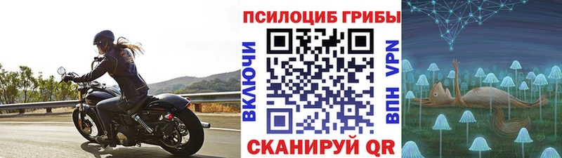 Псилоцибиновые грибы GOLDEN TEACHER дарнет шоп Княгинино